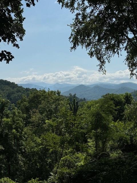 186 Sylvan Heights Drive