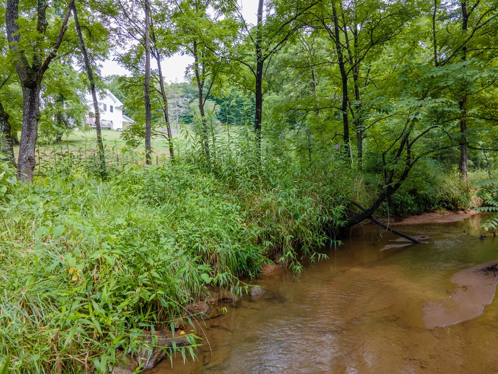 1515 Webster Road