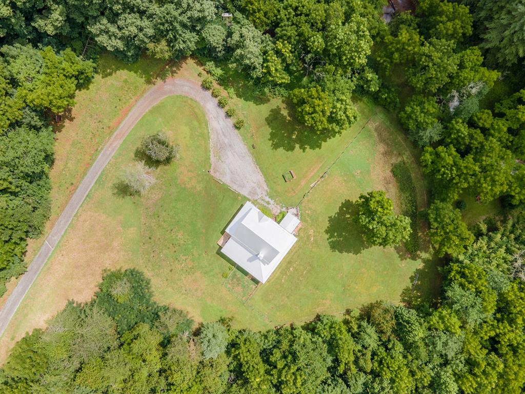 1515 Webster Road