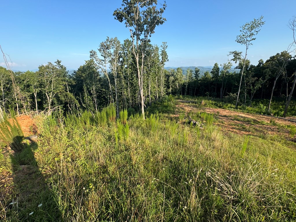 198 The Sanctuary At Mountain Vance