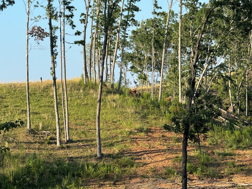 198 The Sanctuary At Mountain Vance