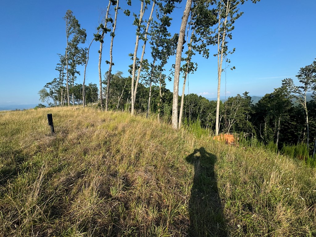 198 The Sanctuary At Mountain Vance