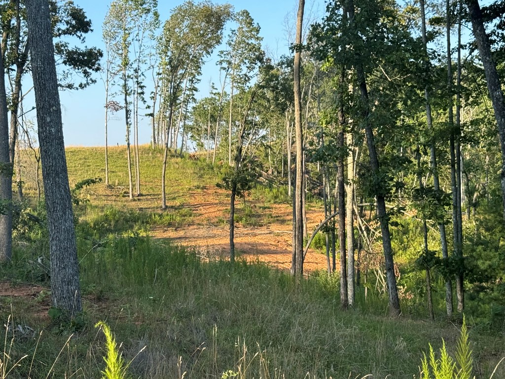 198 The Sanctuary At Mountain Vance