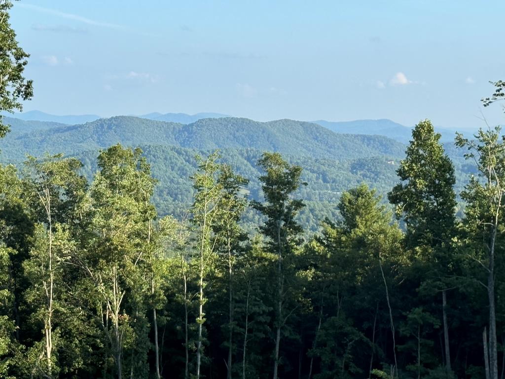 198 The Sanctuary At Mountain Vance