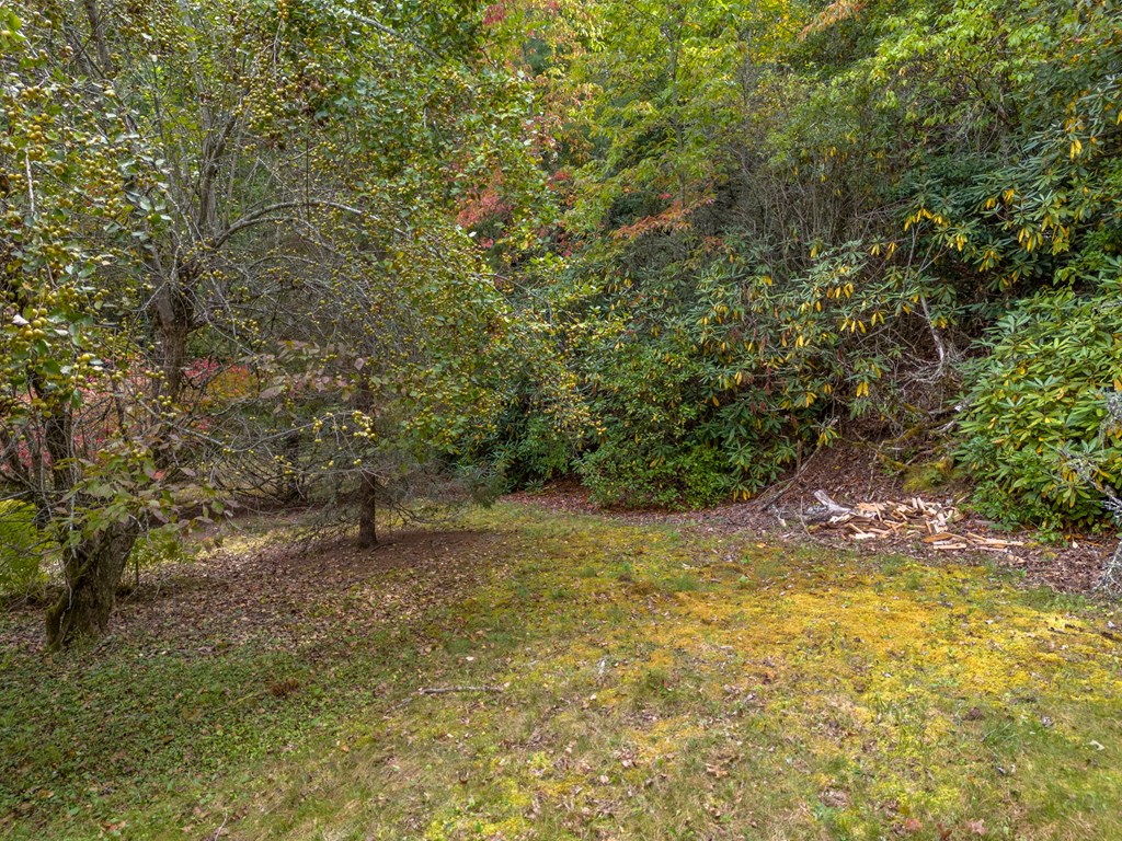 721 Sols Creek Church Rd