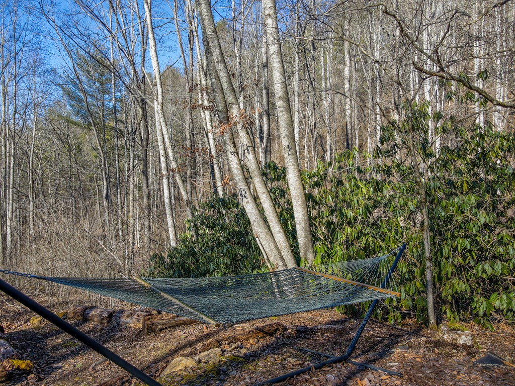 129 Kalmia Ridge