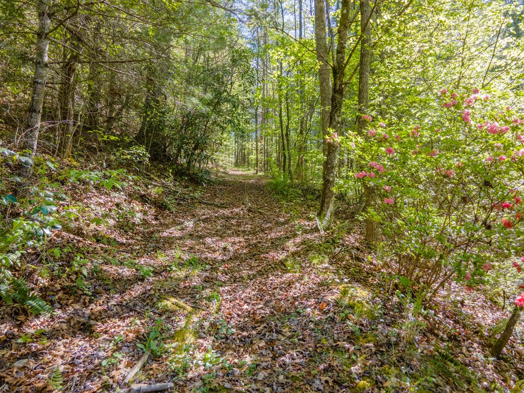 402 East Fork Rd