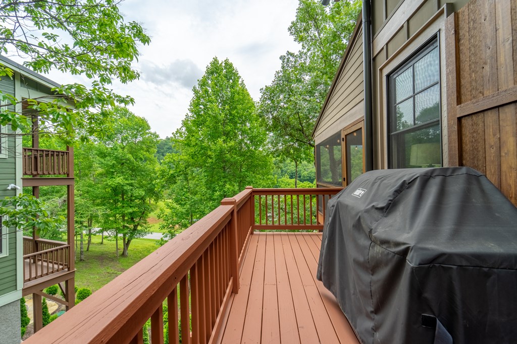 63 Copper Canopy Drive