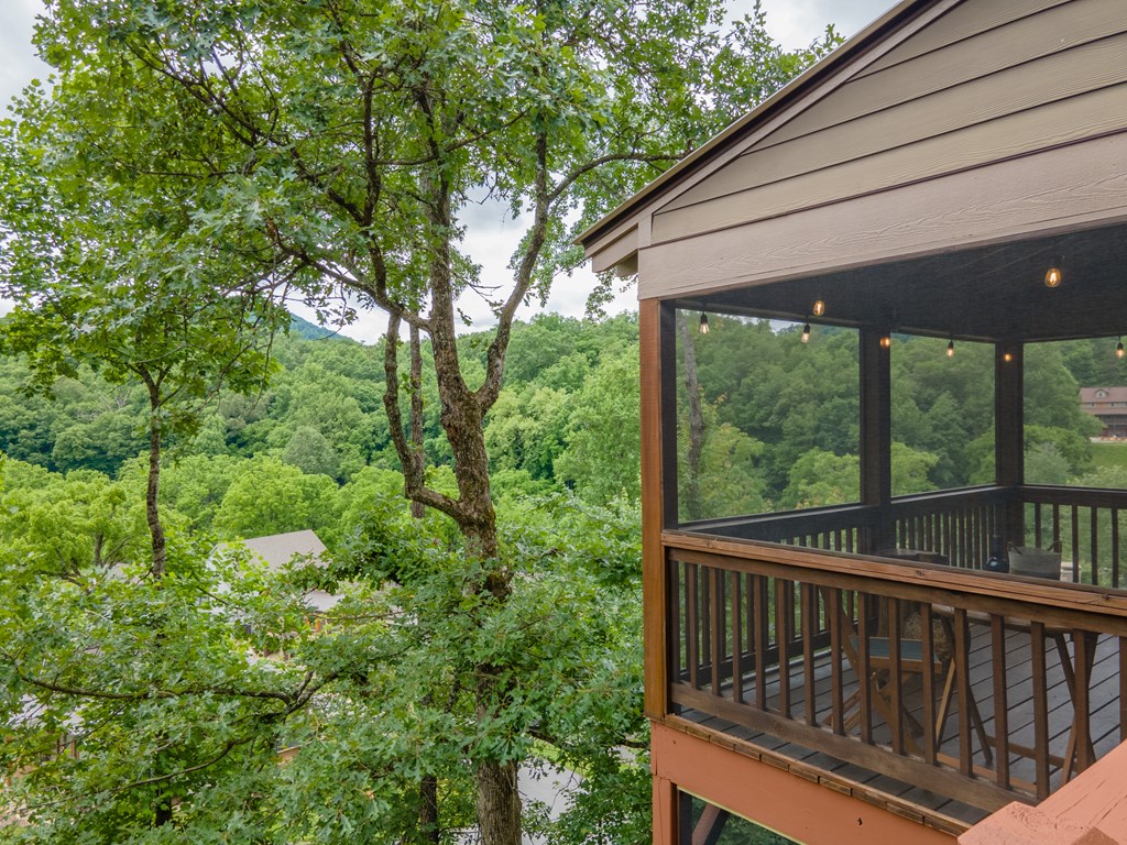 63 Copper Canopy Drive