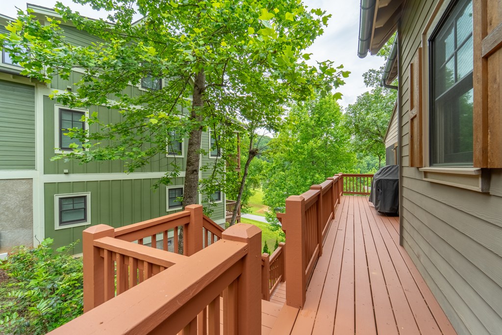 63 Copper Canopy Drive