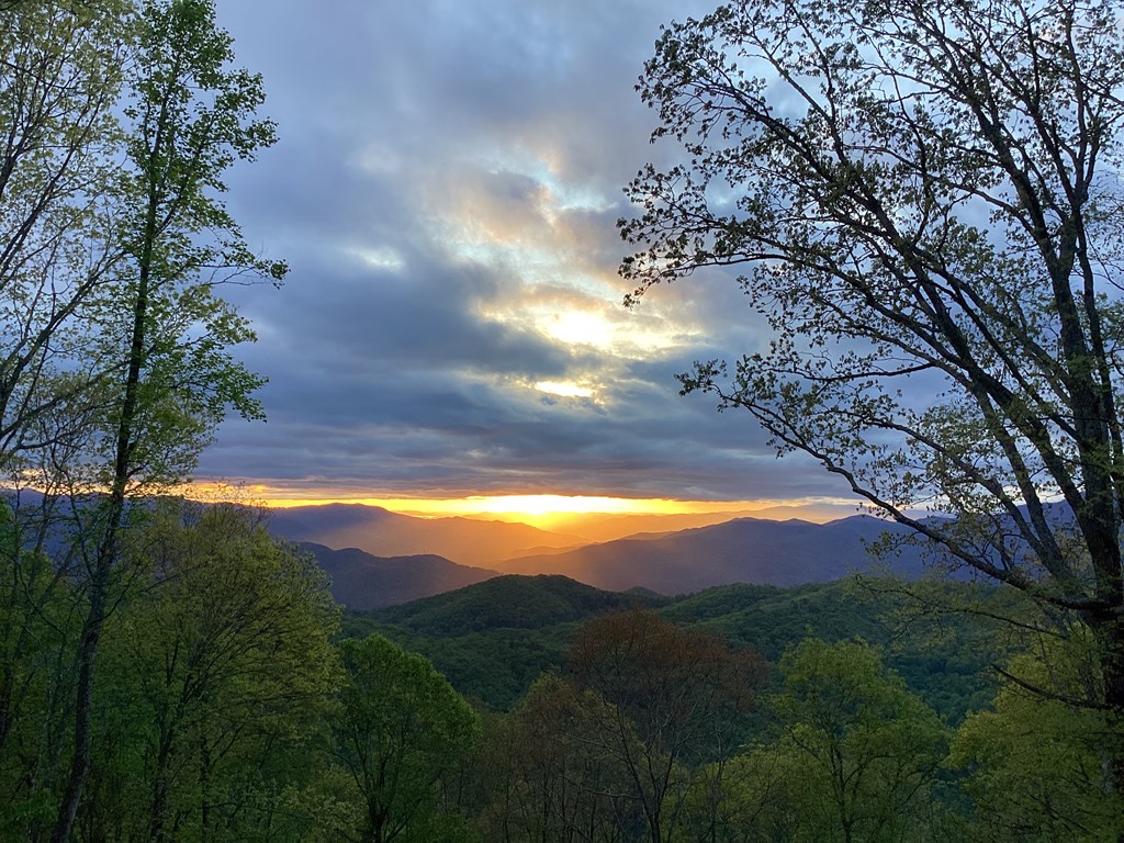 2223 Scarlet Ridge