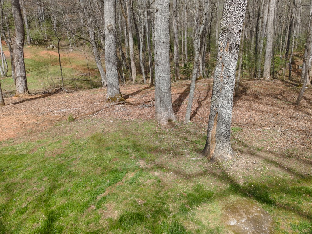 975 Middle Skeenah Rd