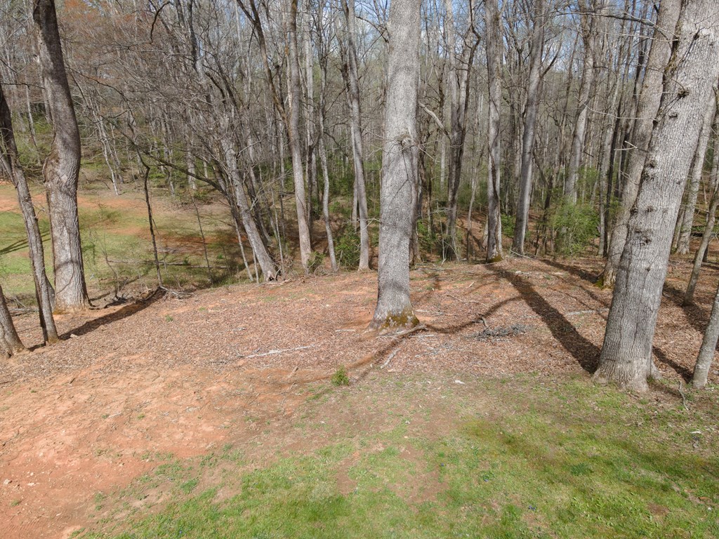 975 Middle Skeenah Rd