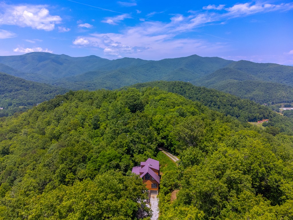 561 Signal Ridge