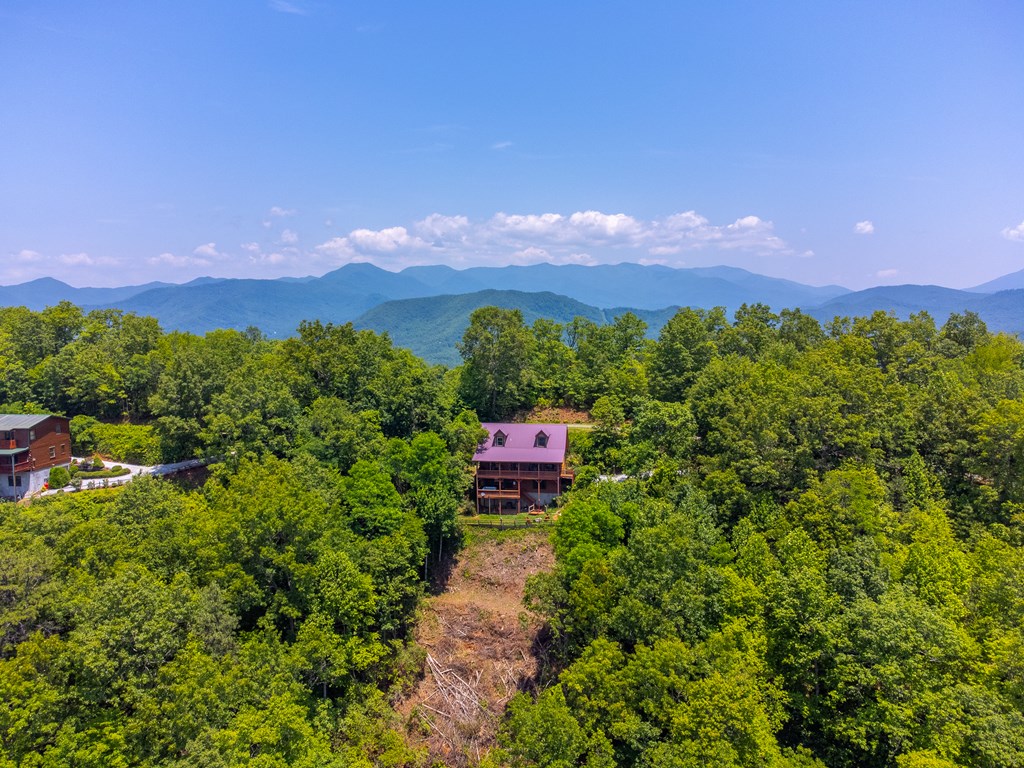 561 Signal Ridge