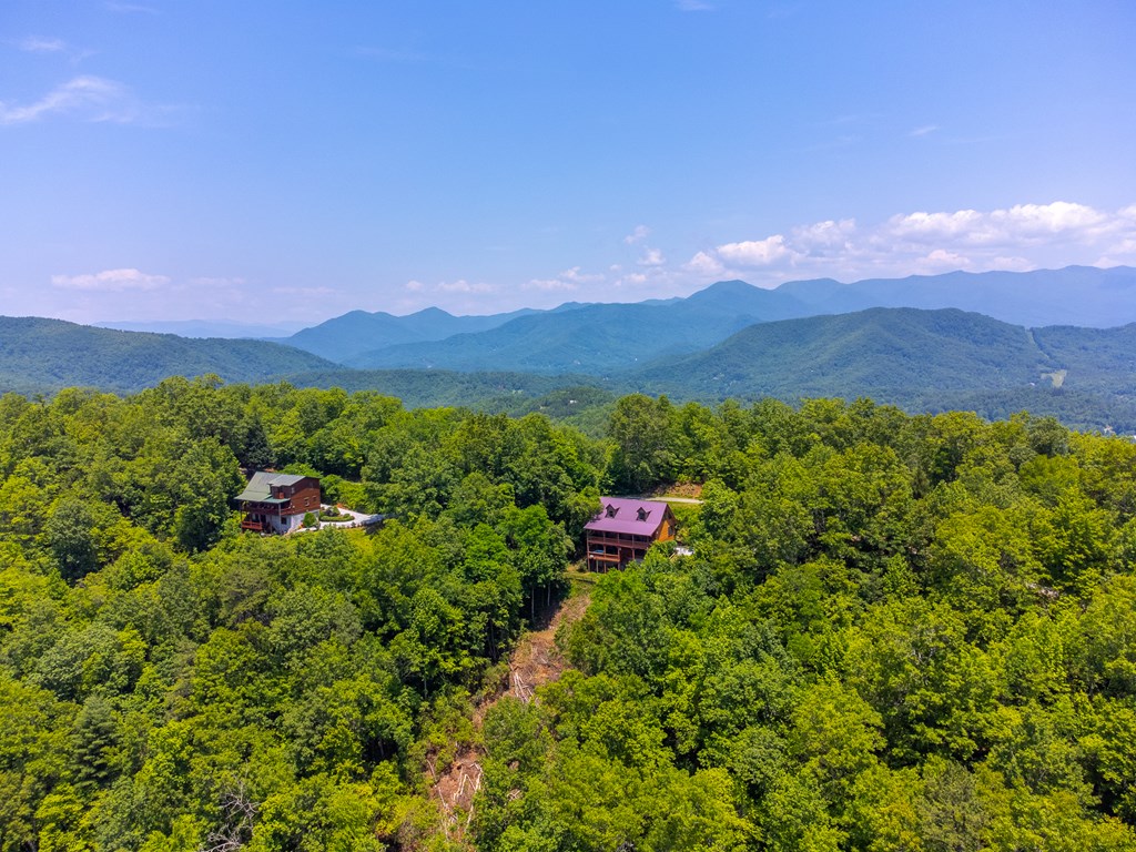 561 Signal Ridge