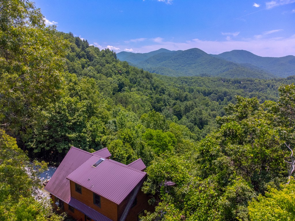 561 Signal Ridge