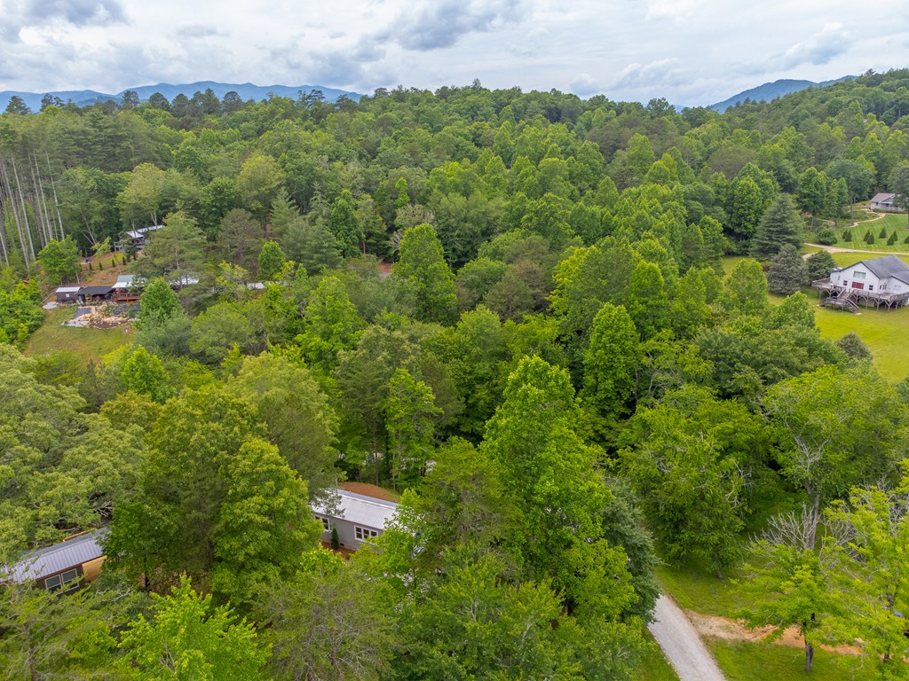 240 Bear Pen Cove