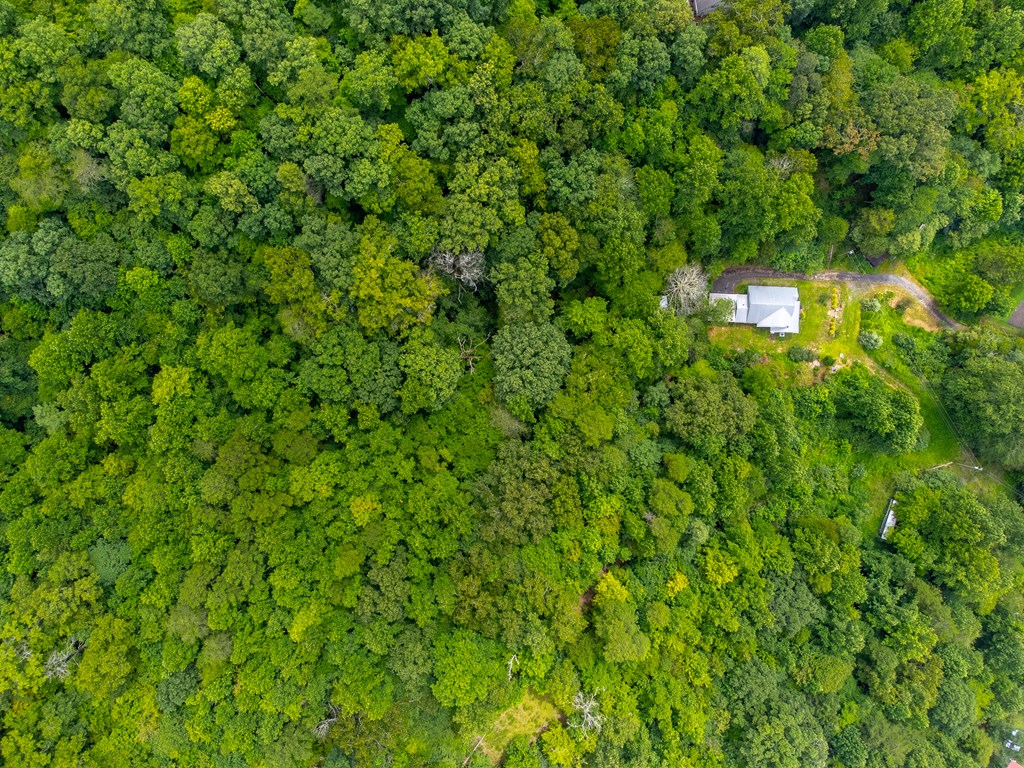 105 Marble Dr