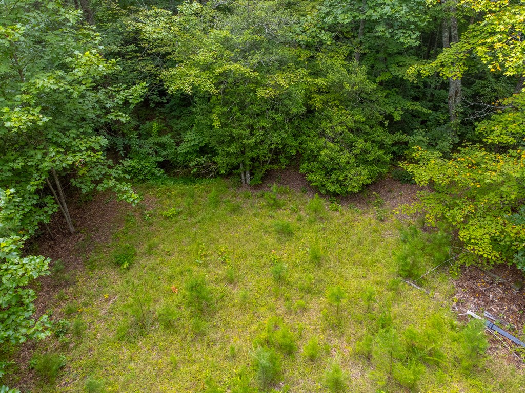 105 Marble Dr