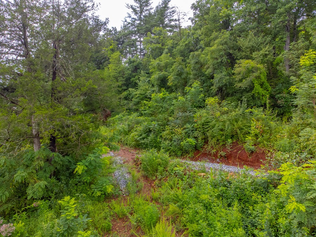 LOT A,B Old Settlement Rd