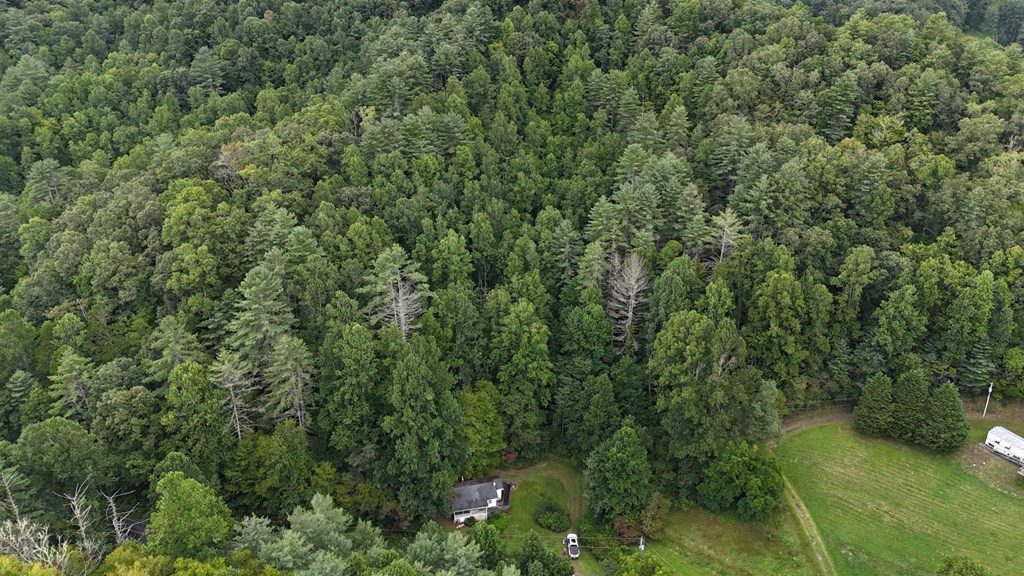 312 Pressley Creek Rd