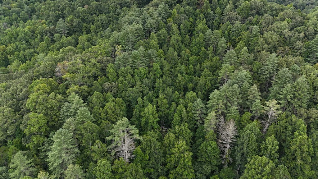 312 Pressley Creek Rd