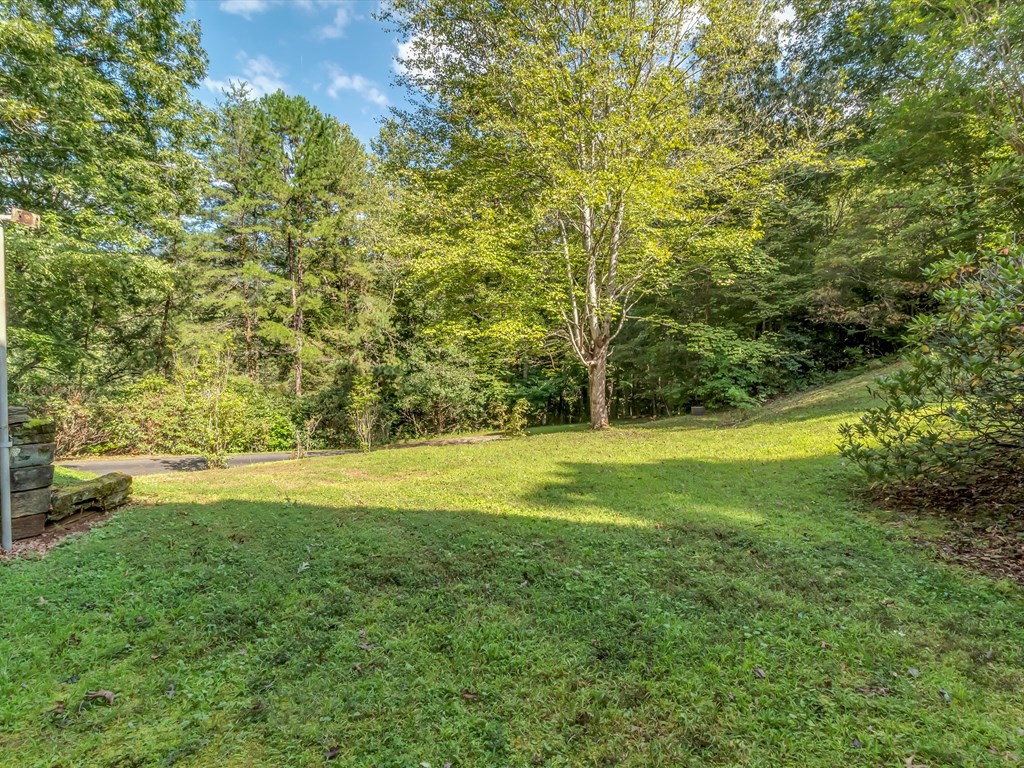 1695 Skyland Drive, Sylva