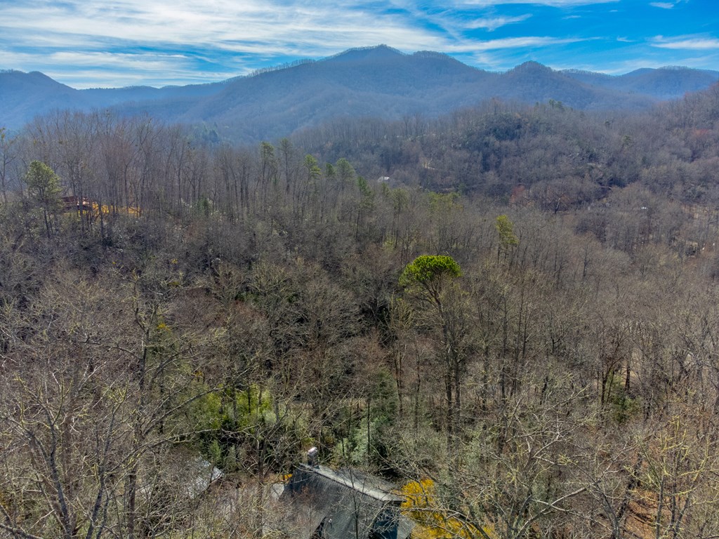 149 Big Oak Springs Rd