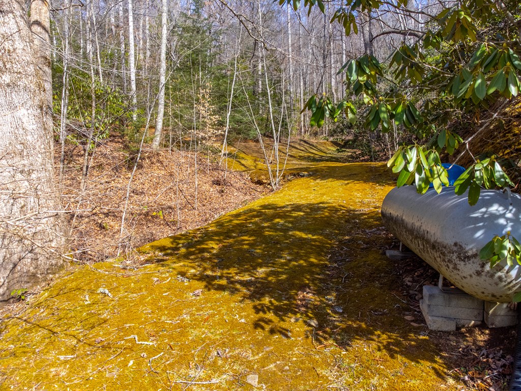 149 Big Oak Springs Rd