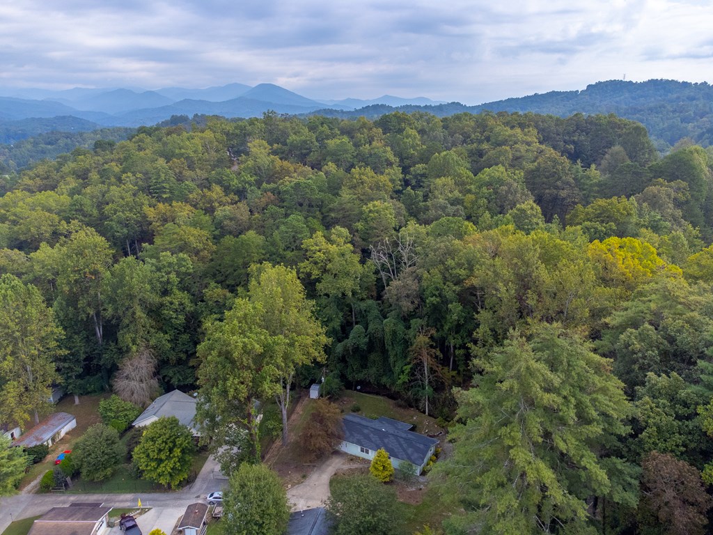 24 Jenkins Branch Lane