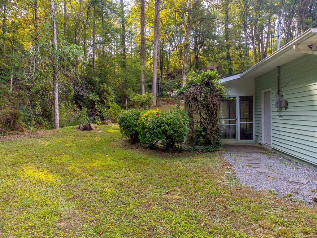 24 Jenkins Branch Lane