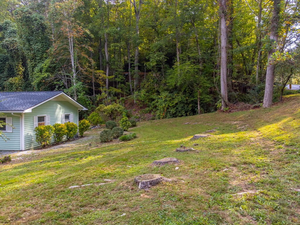 24 Jenkins Branch Lane