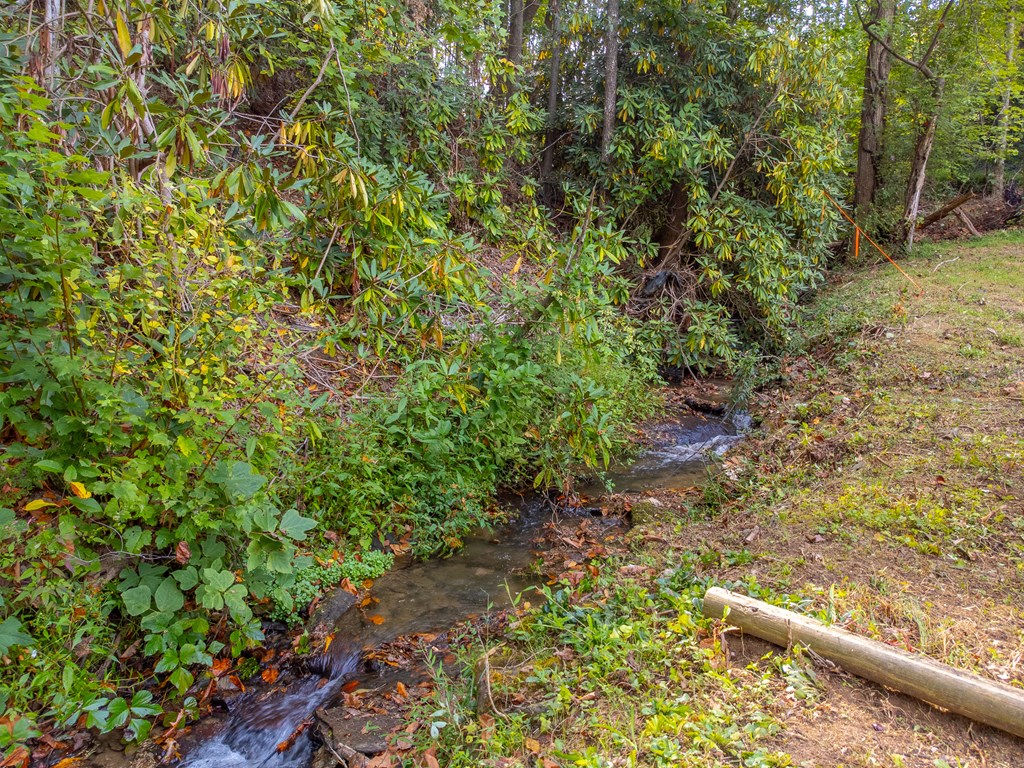 24 Jenkins Branch Lane