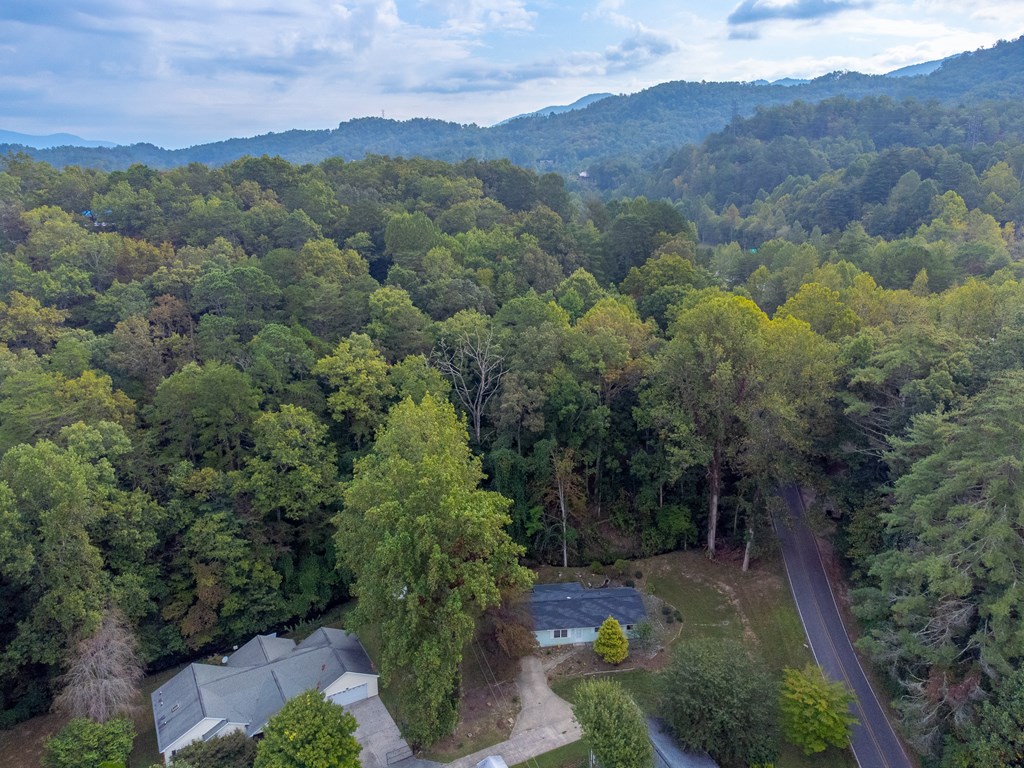 24 Jenkins Branch Lane