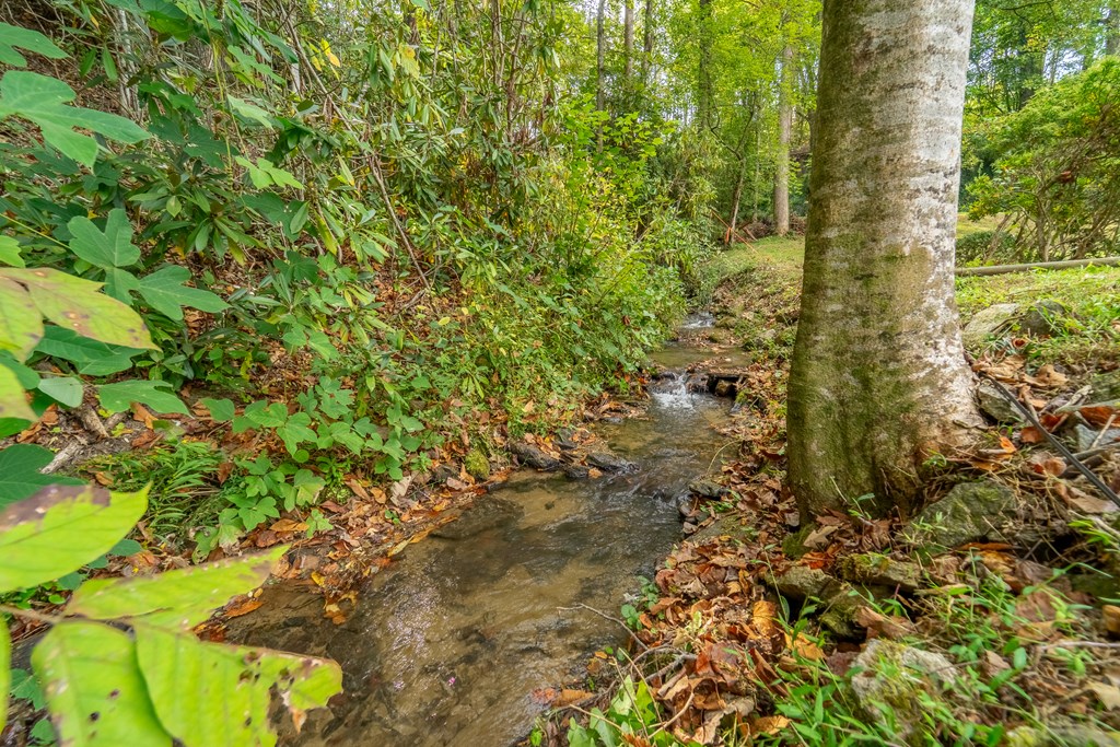 24 Jenkins Branch Lane