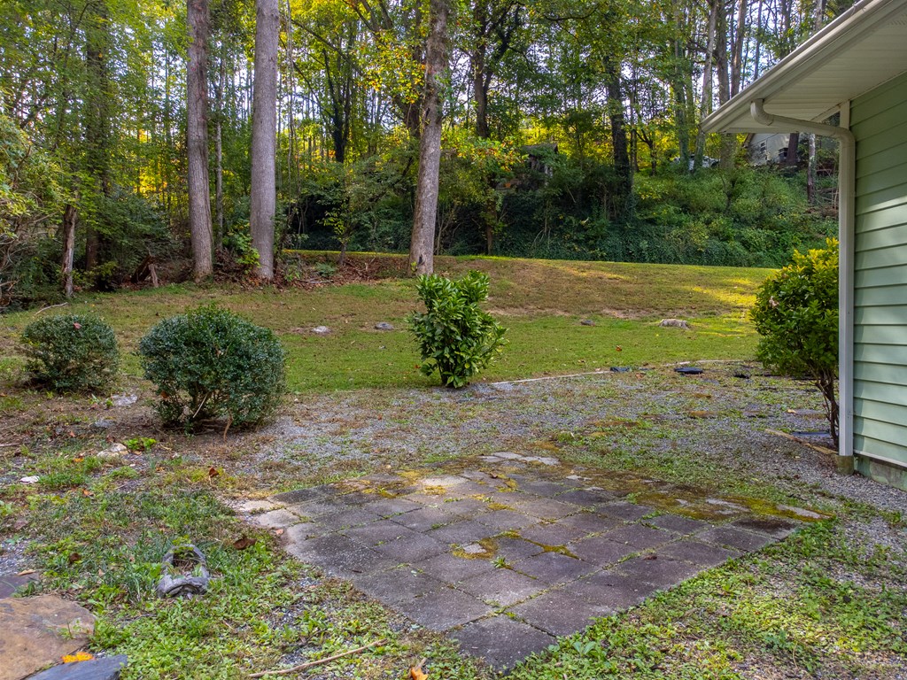 24 Jenkins Branch Lane