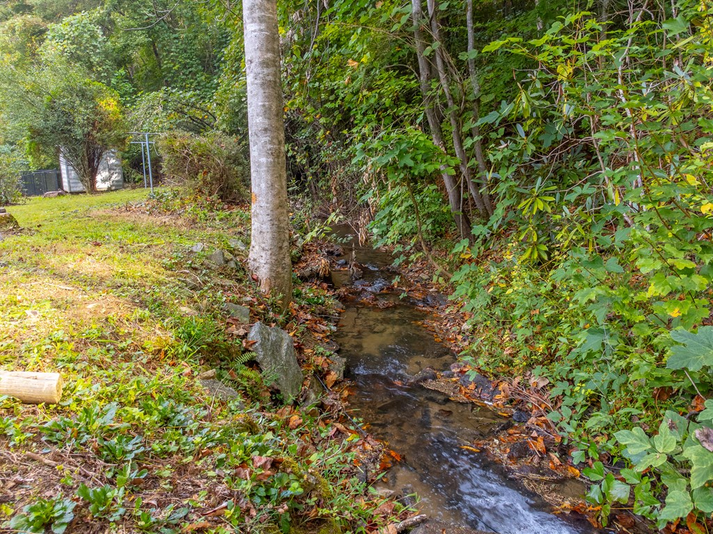 24 Jenkins Branch Lane