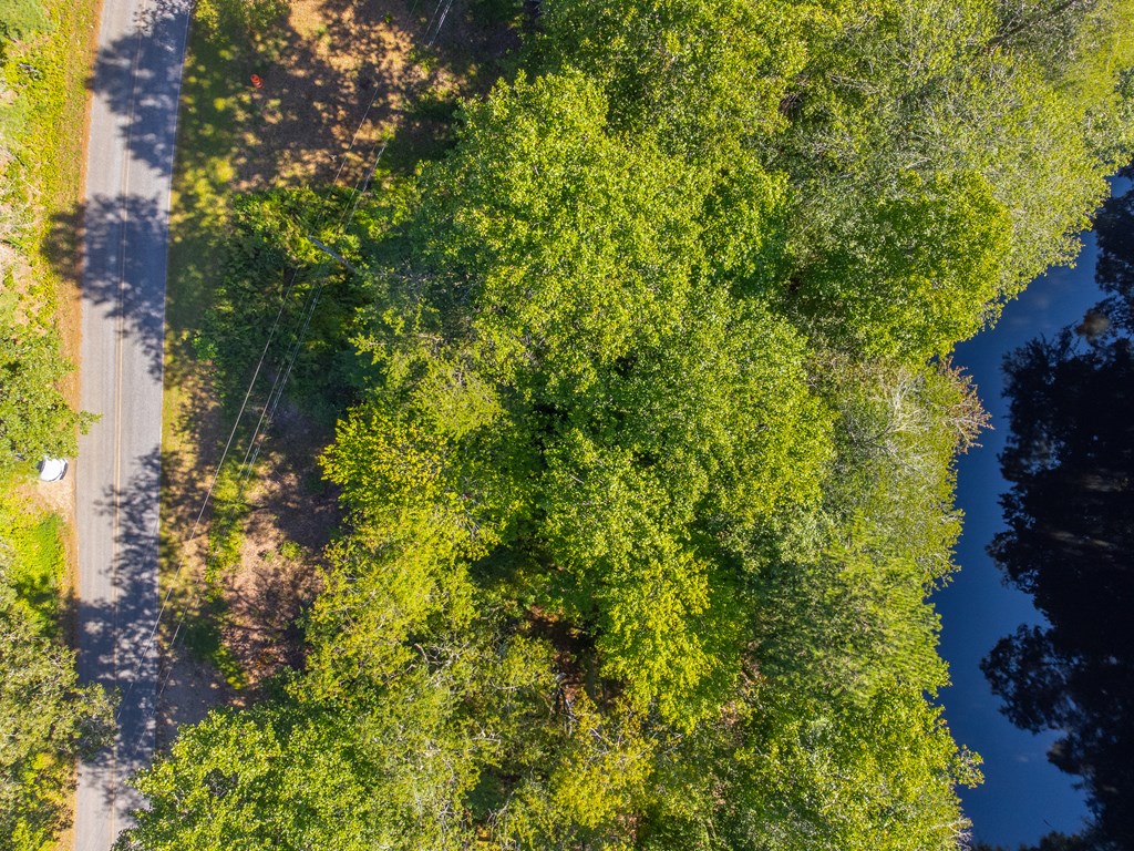 Lot 17 Pressley Circle Road