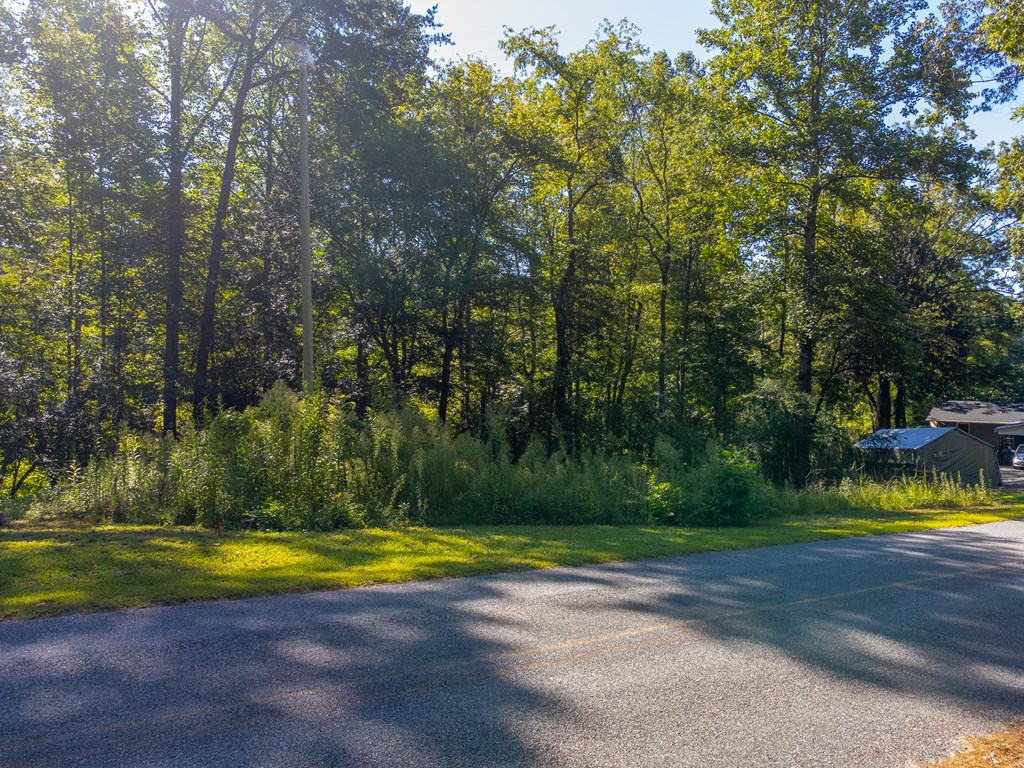 Lot 17 Pressley Circle Road