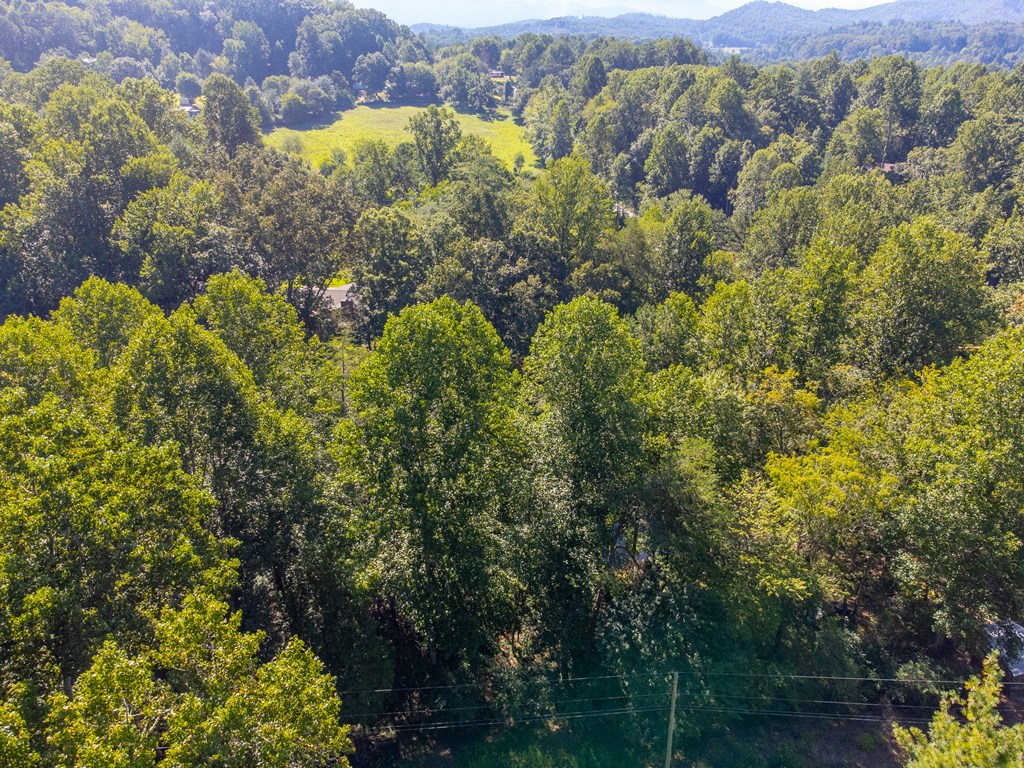 Lot 17 Pressley Circle Road