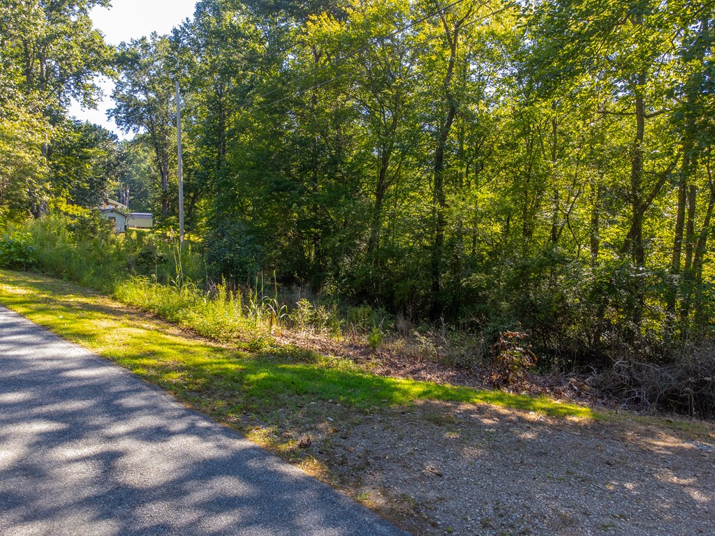Lot 17 Pressley Circle Road