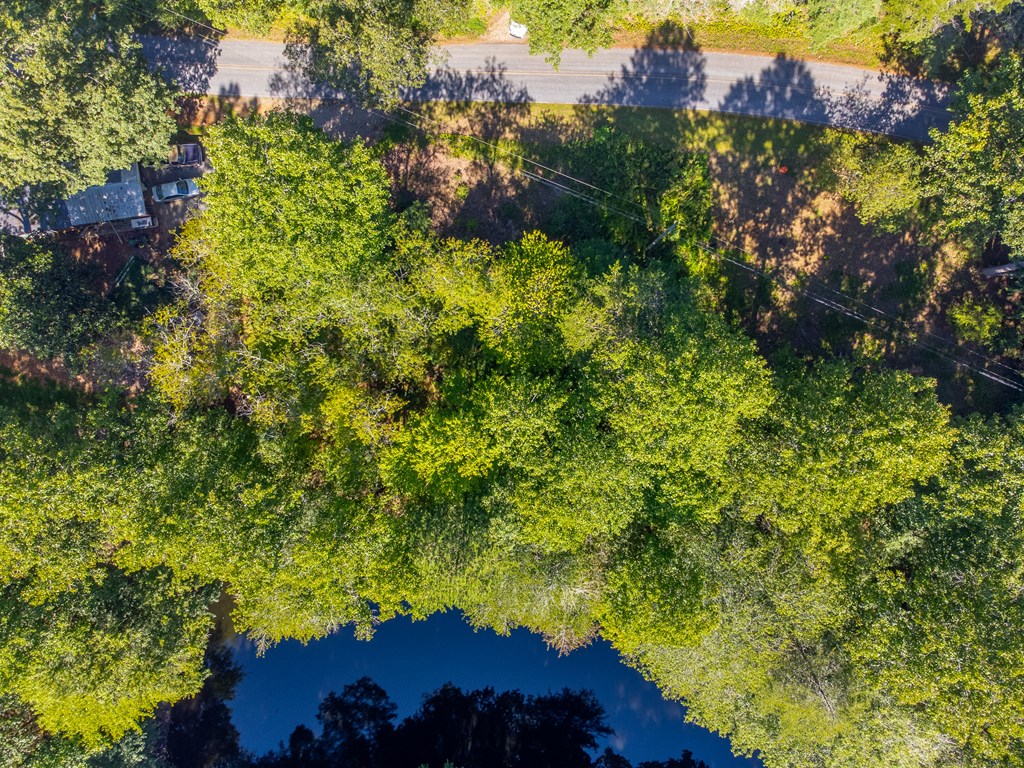 Lot 17 Pressley Circle Road