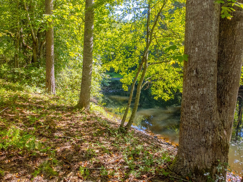 Lot 17 Pressley Circle Road