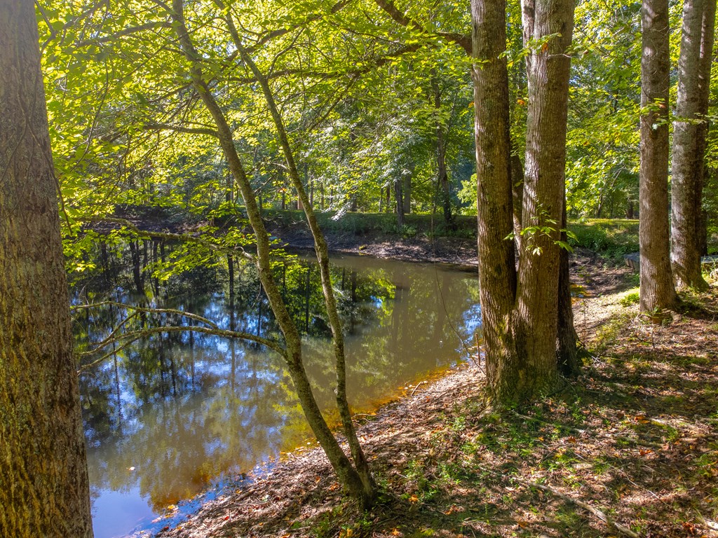 Lot 17 Pressley Circle Road