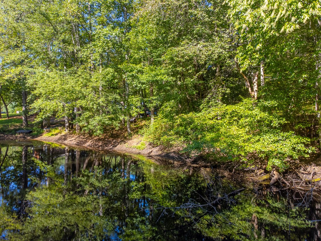 Lot 17 Pressley Circle Road