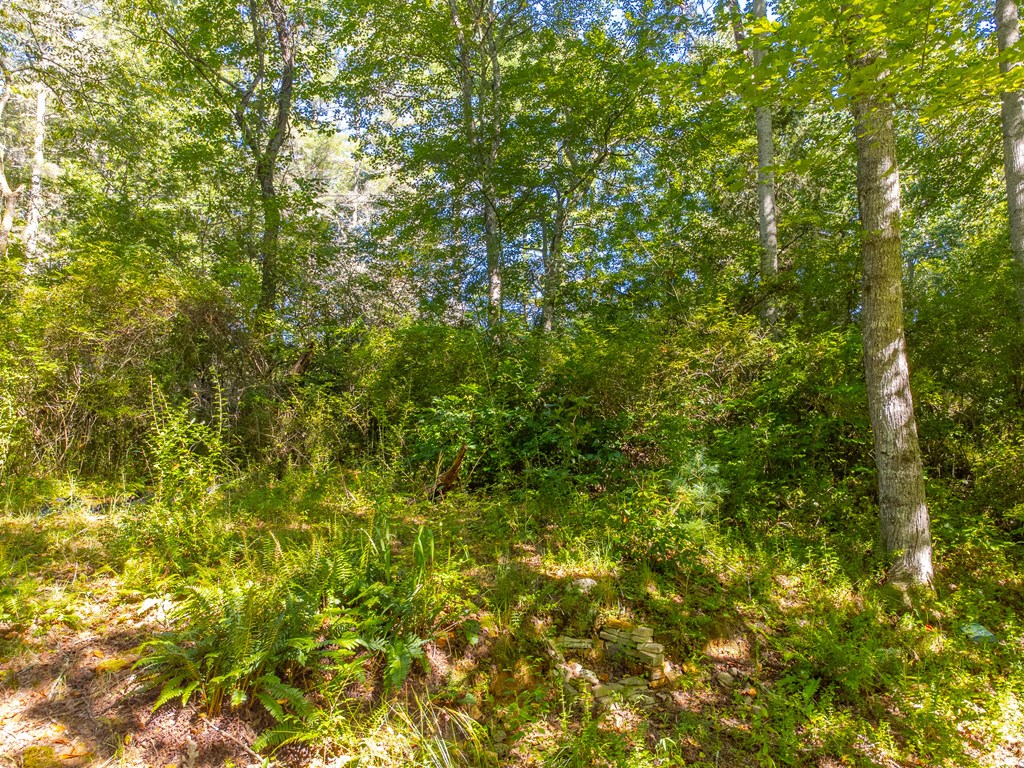 Lot 17 Pressley Circle Road