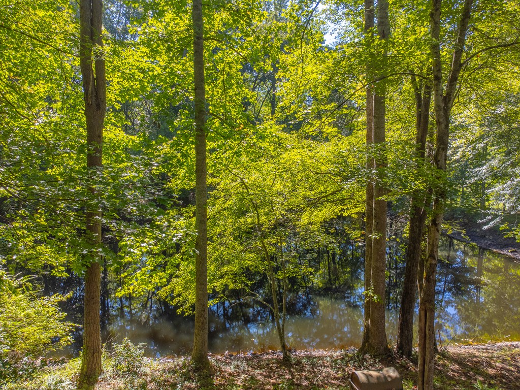 Lot 17 Pressley Circle Road