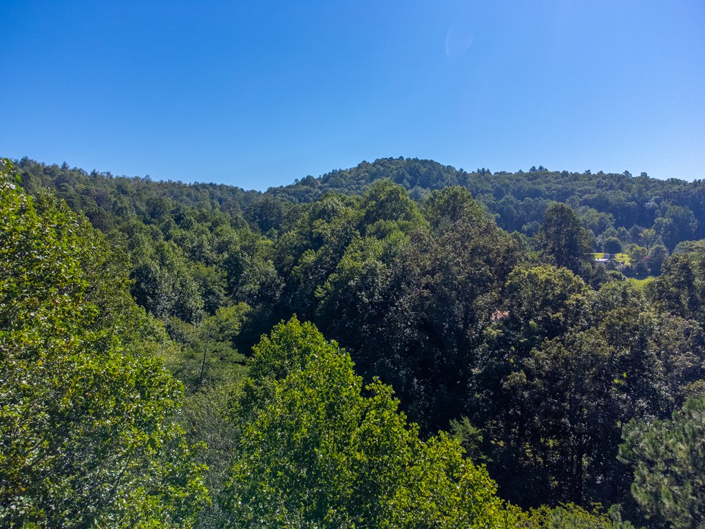 Lot 17 Pressley Circle Road