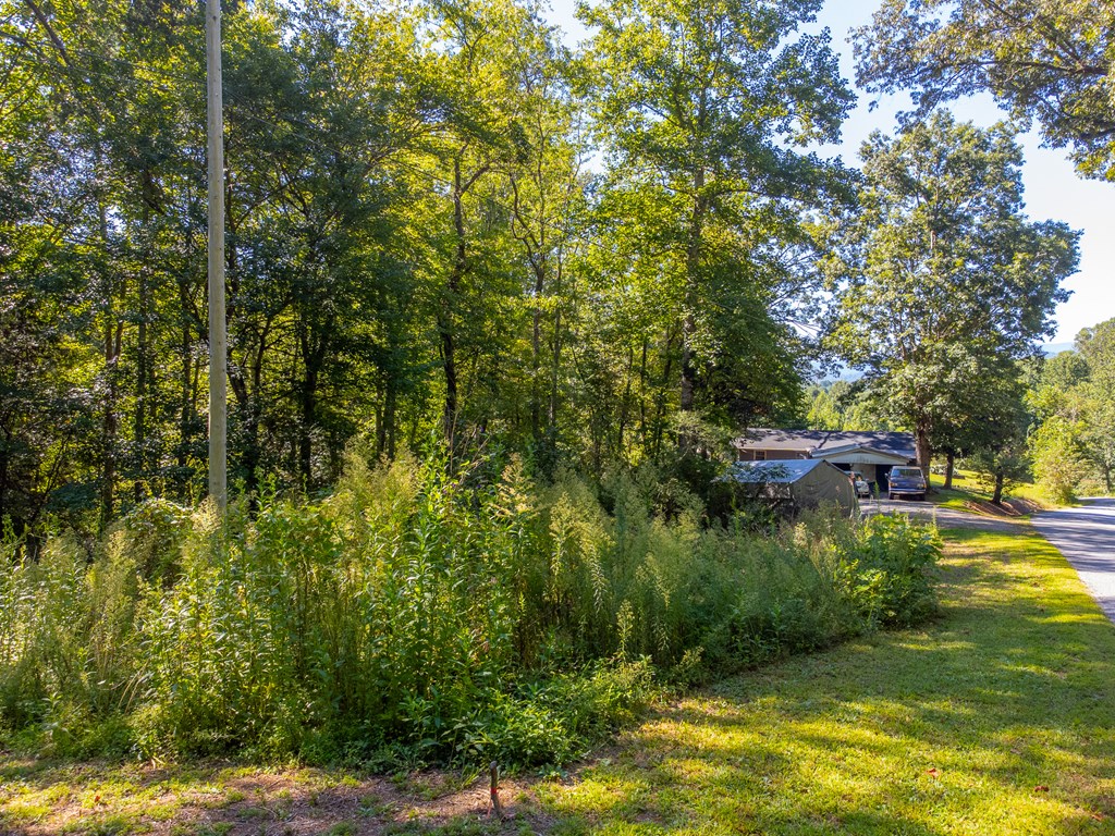 Lot 17 Pressley Circle Road
